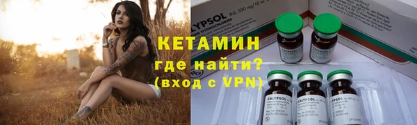 прущие грибы Ростов