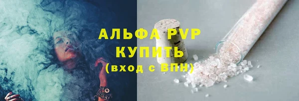прущие грибы Ростов