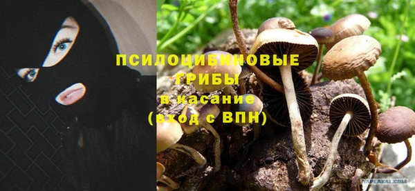 синтетический гашиш Балахна