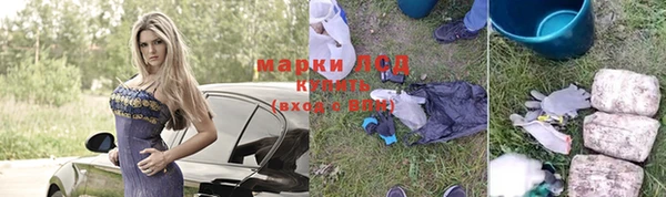 прущие грибы Ростов