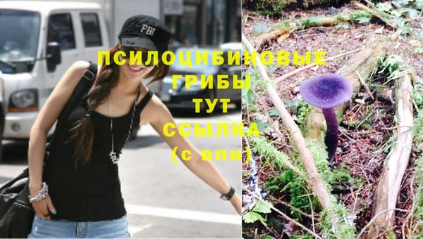 синтетический гашиш Балахна