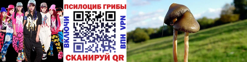 Псилоцибиновые грибы мицелий  площадка как зайти  Белоусово  даркнет сайт 